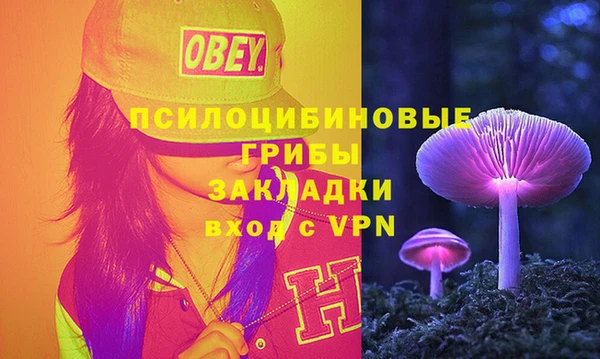 прущие крисы Елабуга