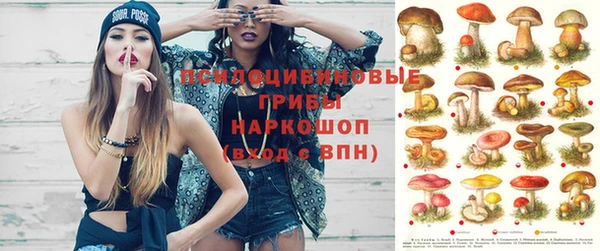 героин Ельня