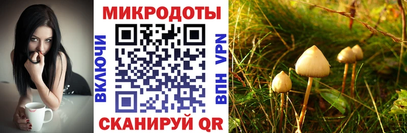 Псилоцибиновые грибы прущие грибы  наркота  Зеленодольск 